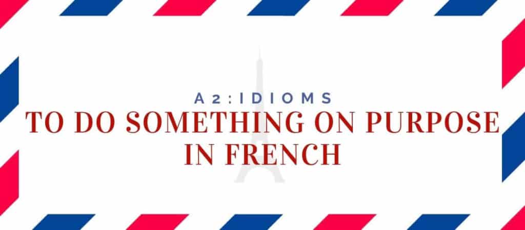 To do something on Purpose in French