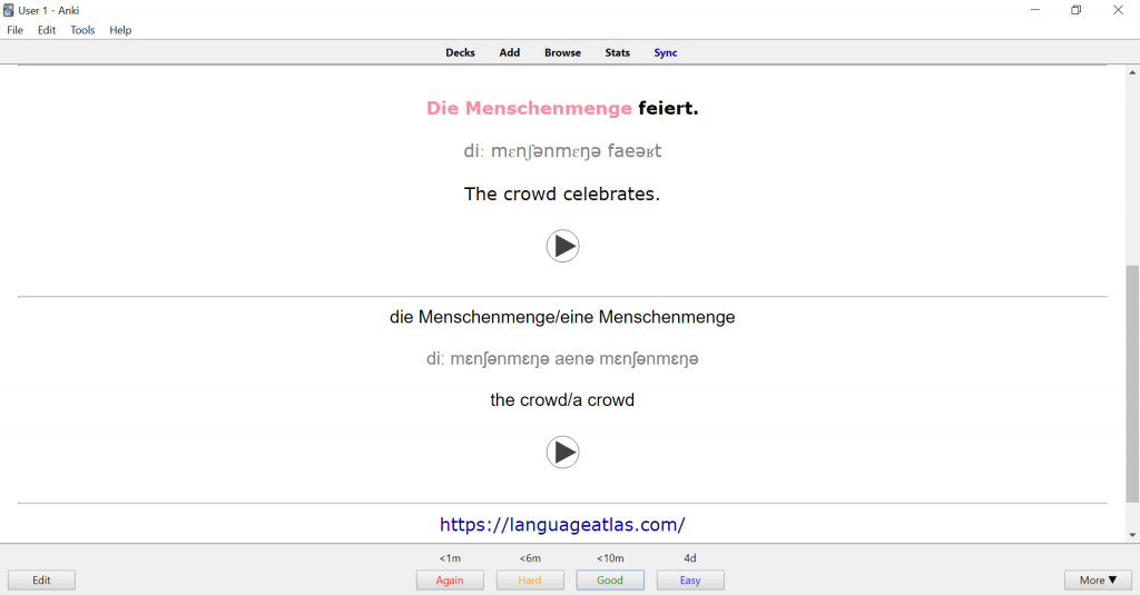 German Anki Type 1 Back