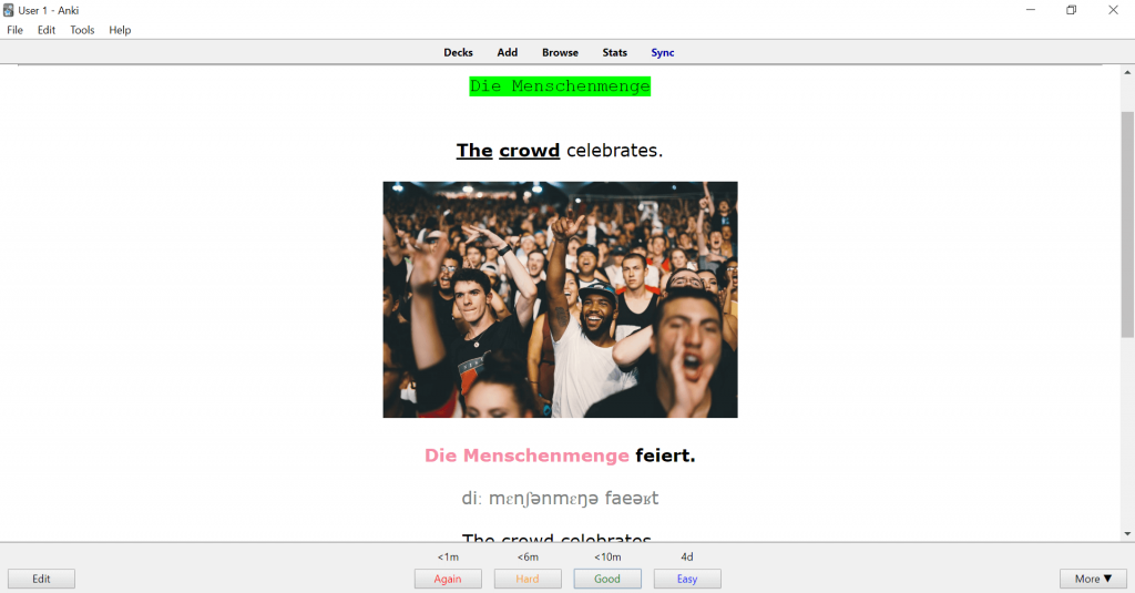 German Anki Type 2 Back