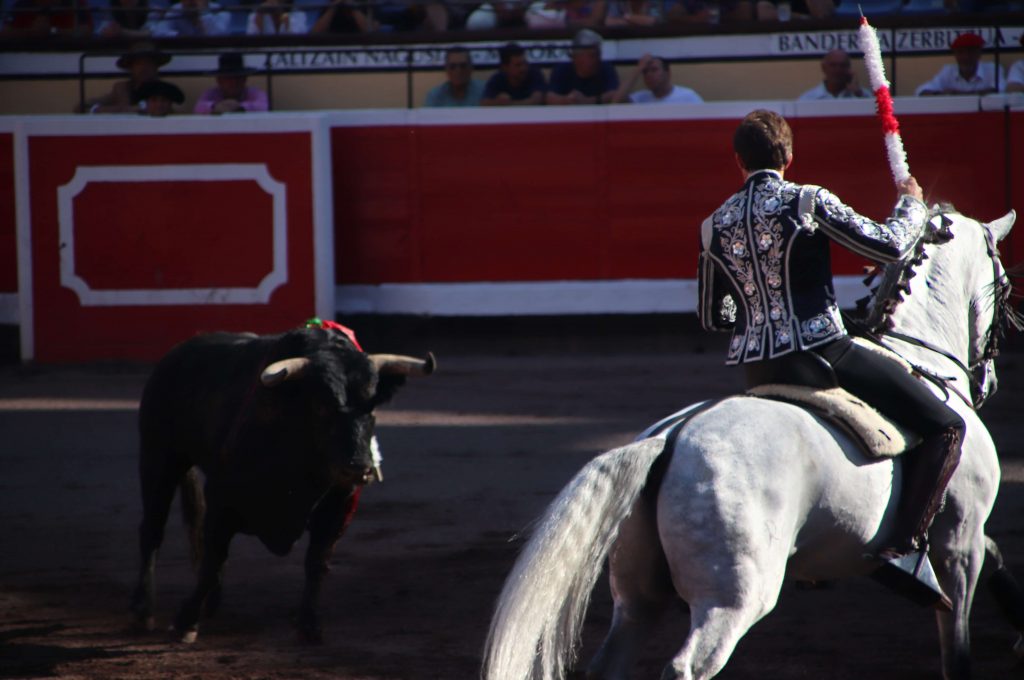 A matador attempting to strike with a banderillo Bull fighting in Spain is a popular cultural tradition