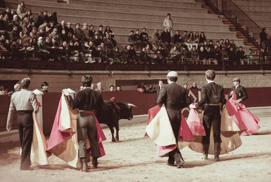 a matador's team surrounds a bull A matador's team surrounding an exhausted bull.